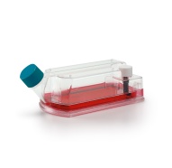 Ultramicro balances Cubis®